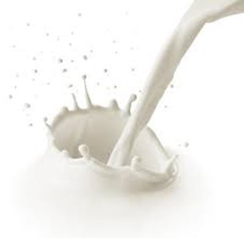  हाई फैट कंटेंट ऑर्गेनिक फ्रेश गाय का दूध
