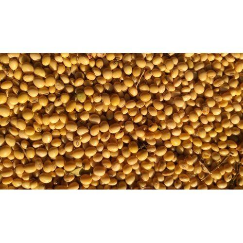 Abs Longer Shelf Life Premium Grade Natural Soyabean Seeds