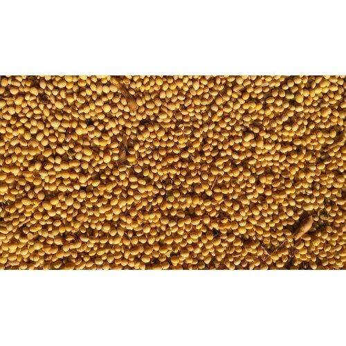 Natural Organic Polished Soybean Seeds,50 Kg 