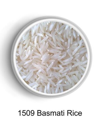 Organically Cultivated Indian Originated Long-Grain 1509 Basmati Rice, 1kg