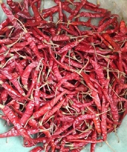 100 Percent Pure Rich Taste Impurity Free Natural Indian Dried Red Chilli