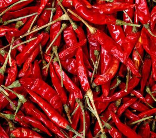 100% Pure And Natural Chemical Free Red Chili For Cooking Purpose Grade: Food