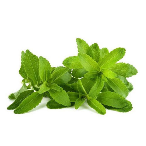 Green Stevia Leaves For Medicinal Uses