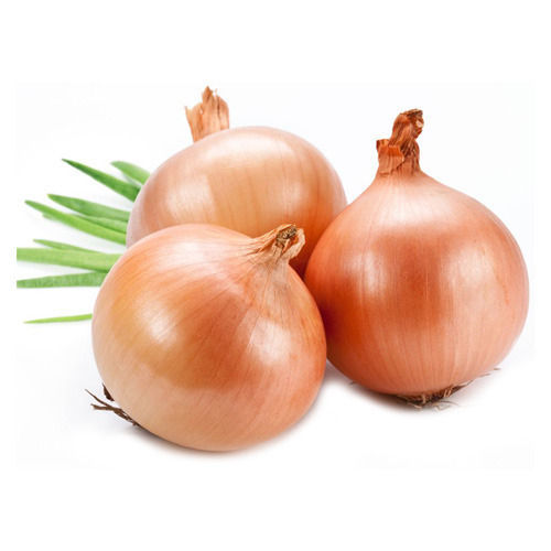 Healthy Farm Fresh Indian Origin Naturally Grown Vitamins Rich Brown Onion 