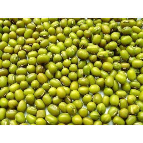 Indian Origin Naturally Grown And Round Shape Raw Delicious Healthy Green Gram 