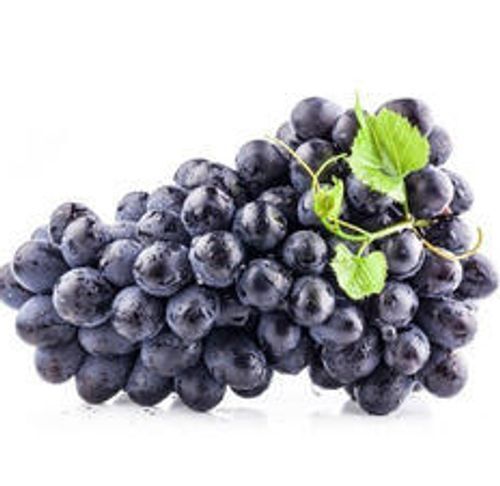 Very Tasty And Healthy Fresh Black Grapes  Origin: Pineapple