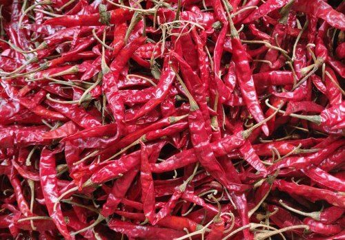 A Grade Dry Red Chilli With Spicy Flavour And Traditionally Taste