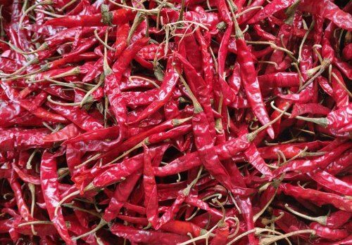 Piece A Grade Dry Red Chilli With Spicy Flavour And Traditionally Taste