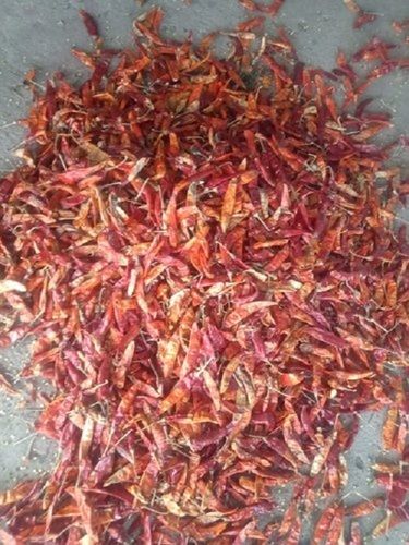 Guntur Dry Red Chillies With Spicy Flavour And Traditionally Taste