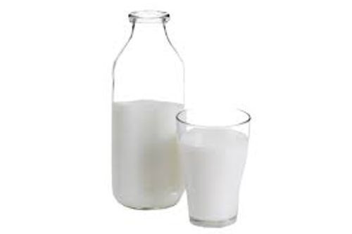 Primary Source Of Nutrition And Protein Cow Milk