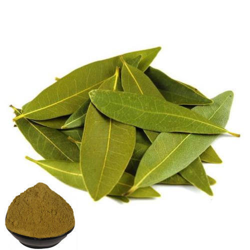 A Grade and Indian Origin Bay Leaf Powder