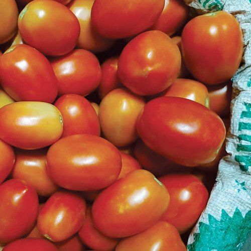 Round A Grade And Healthy Fresh Tomato