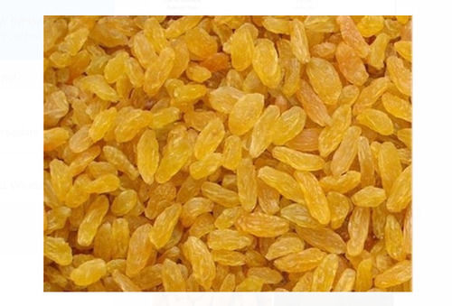 Yellow Commonly Cultivated Pure And Dried Raisin