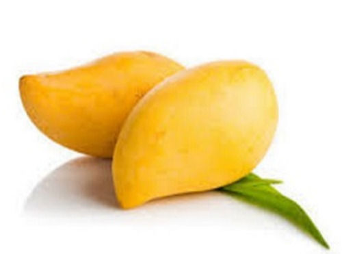 Yellow India Origin Delicious And Versatile Verity Chaunsa Mango 