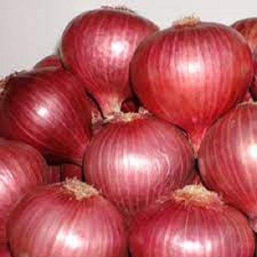 Natural Bombay Red Colour Round Shape Onion For Domestic Usage Vegetable