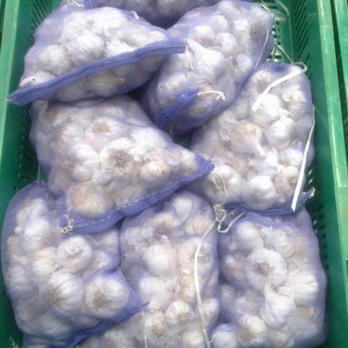 Natural White Color Fresh And Healthy Round Garlic For Domestic Usage