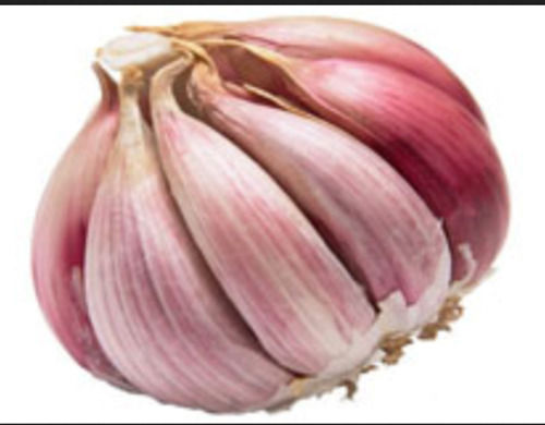 Round Powerful Antioxidant Effects Spicy Flavor Fresh Garlic 