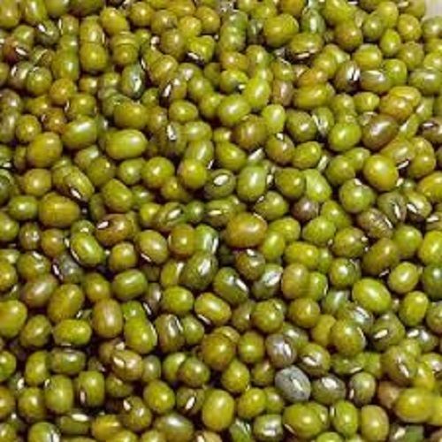 Rich Nutrition Healhty And High Protein Whole Green Moong Dal For Cooking