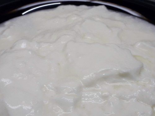 100% Pure And Natural Calcium Enriched Hygienically Packed Curd 