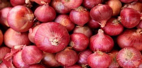 A Grade Dry Fresh And Pungent Flavour Red Onion