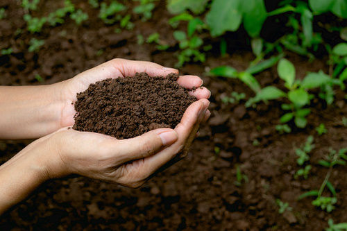 Brown Bio Organic Fertilizer Used In Agriculture Sector For Growing Plant