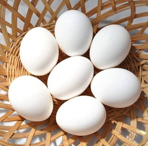 Rich In Protein And Omega-3 Fatty Acids White Oval Shape Fresh Chicken Eggs Egg Weight: 10 Grams (G)