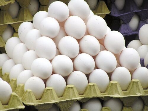 Safe Against Bird Flu Good Source Of Protein And Minerals Fresh White Eggs