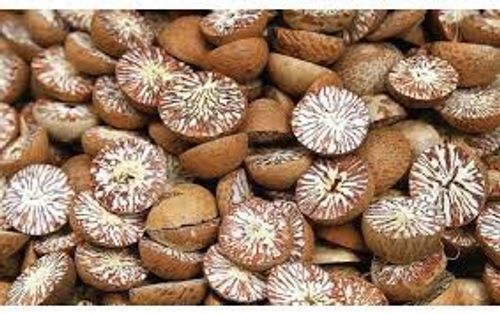 Traditional/ Ethnobotanical Uses Natural Betel Nuts/Supari 