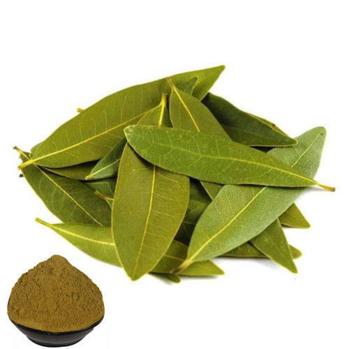 Light Yellow Key Component Of Ayurveda Bay Leaf/ Tamalpatra Powder 