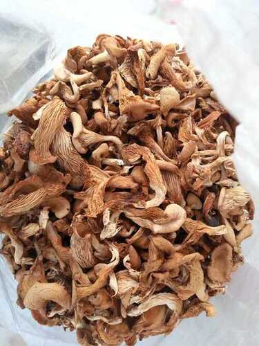 Brown Natural And Organic Dry Oyster Mushroom For Cooking(Pesticide Free)