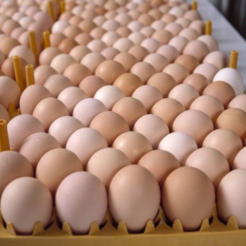 Rich Source Of Protein Safe From Bird Flu Fresh And Healthy Brown Eggs
