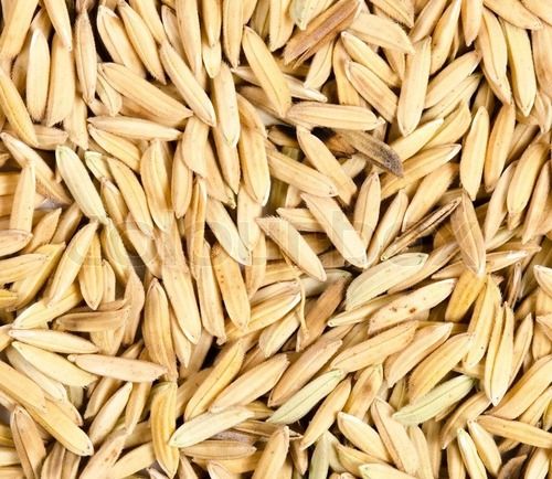 100 Percent Pure Easy To Grow Highly Effective Natural Brown Paddy Seed