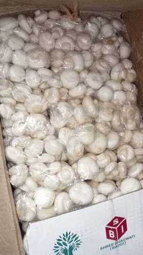 Pure And Organic Button Mushroom With 60-70% Digestibility