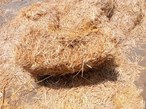 Eco Friendly Light Weight Disposable Premium Design Wheat Straw