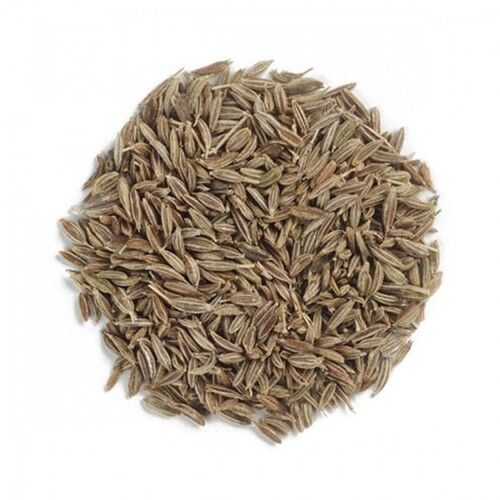 Free From Impurities Low Fat Good In Taste Easy To Digest Cumin Seeds