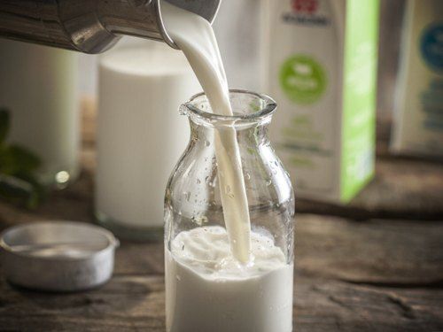  स्वस्थ और पौष्टिक प्रोटीन से भरपूर स्वस्थ शुद्ध ताजा सफेद गाय का दूध 