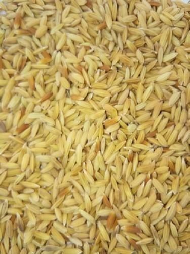 Highly Effective Natural And Pure Dropot Dried Brown Paddy Seeds