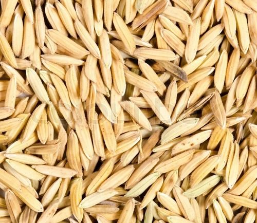 Moisture 12 Percent Free From Impurities Organic Natural Brown Paddy Rice Seeds