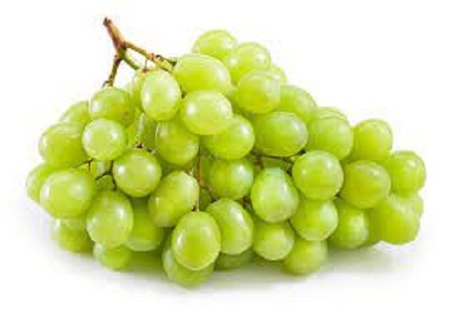 Common Sweet Yummy Rich In Vitamins And Antioxidants Fresh Green Grapes 