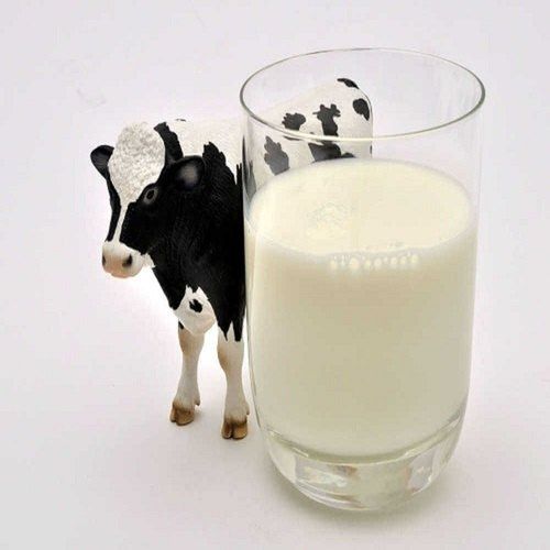 Natural Healthy Calcium Enriched Fresh Raw White Pure Cow Milk