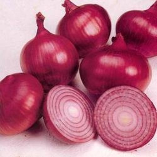 Round Red Onion