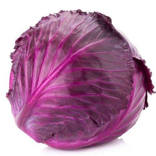 Round  Pure Farm Fresh Indian Origin Naturally Grown And Vitamins Enriched Healthy Pink Cabbage