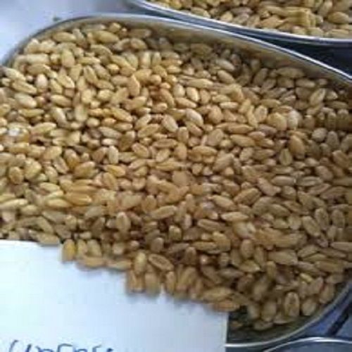 First Grade Chemical Free Rich Nutrients Dried Raw Wheat Grain Seeds