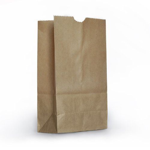 Light Weight Plain Rectangular Brown Colour Paper Pouch for Grocery and Small Item Shopping