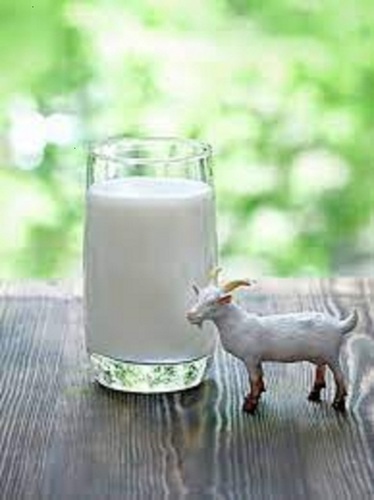 Fresh And Pure Natural Full Cream Adulteration Free White Healthy Goat Milk Age Group: Adults