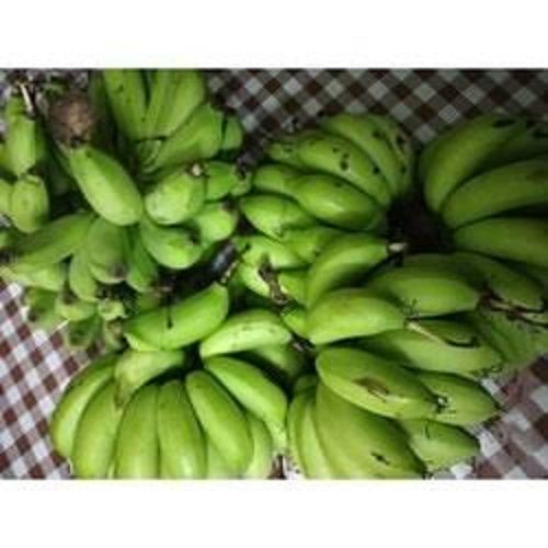 Common 100 Percent Natural And Healthy Green Banana , Rich In Vitamins And High Fibre 