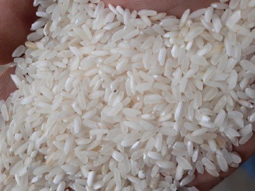 100% Pure Nutrient Enriched Medium-grain White Swarna Masoori Raw Rice