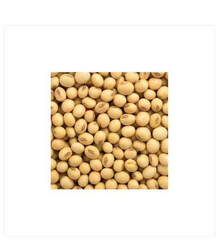 A Grade And Indian Origin Soya Bean Dal With High Nutritious Value Broken Ratio (%): 1%