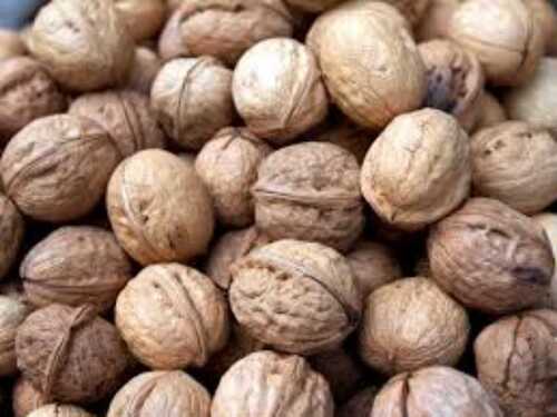 Wholesale Price Export Quality Shell Walnut Kernel for Dry Fruit and Gifting Purpose