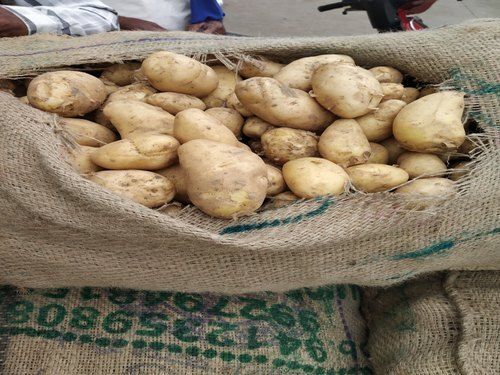 100 Percent Fresh Healthy And Rich In Vitamins Potassium Potato For Cooking